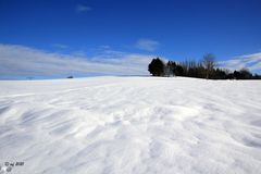 Der Wind formt neue Strukturen