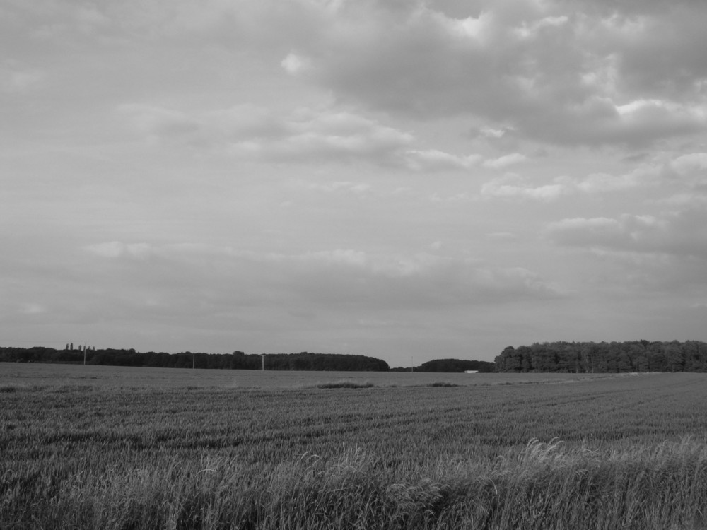 Der Wind frischt auf