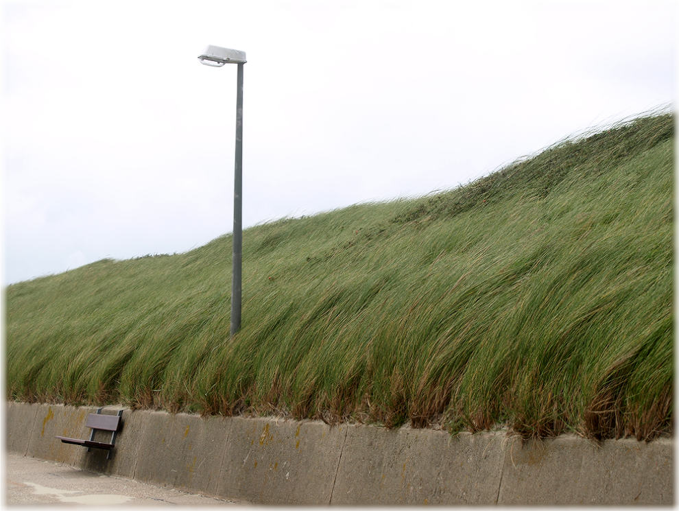 der wind gibt die richtung vor