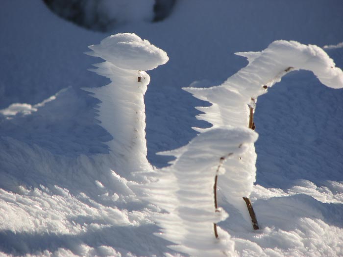 Der Wind hat es gerichtet