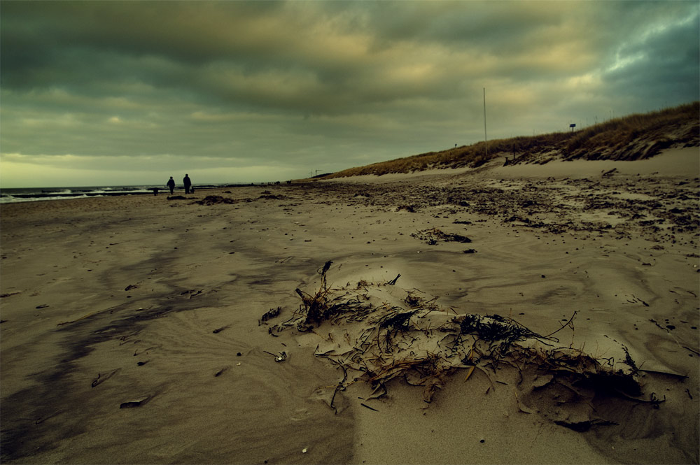 der wind im gesicht ..