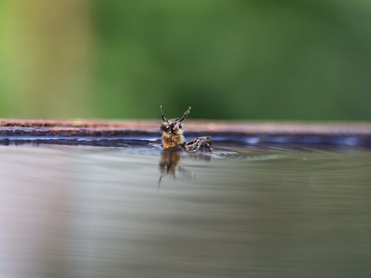 Der Wind ist tückisch...