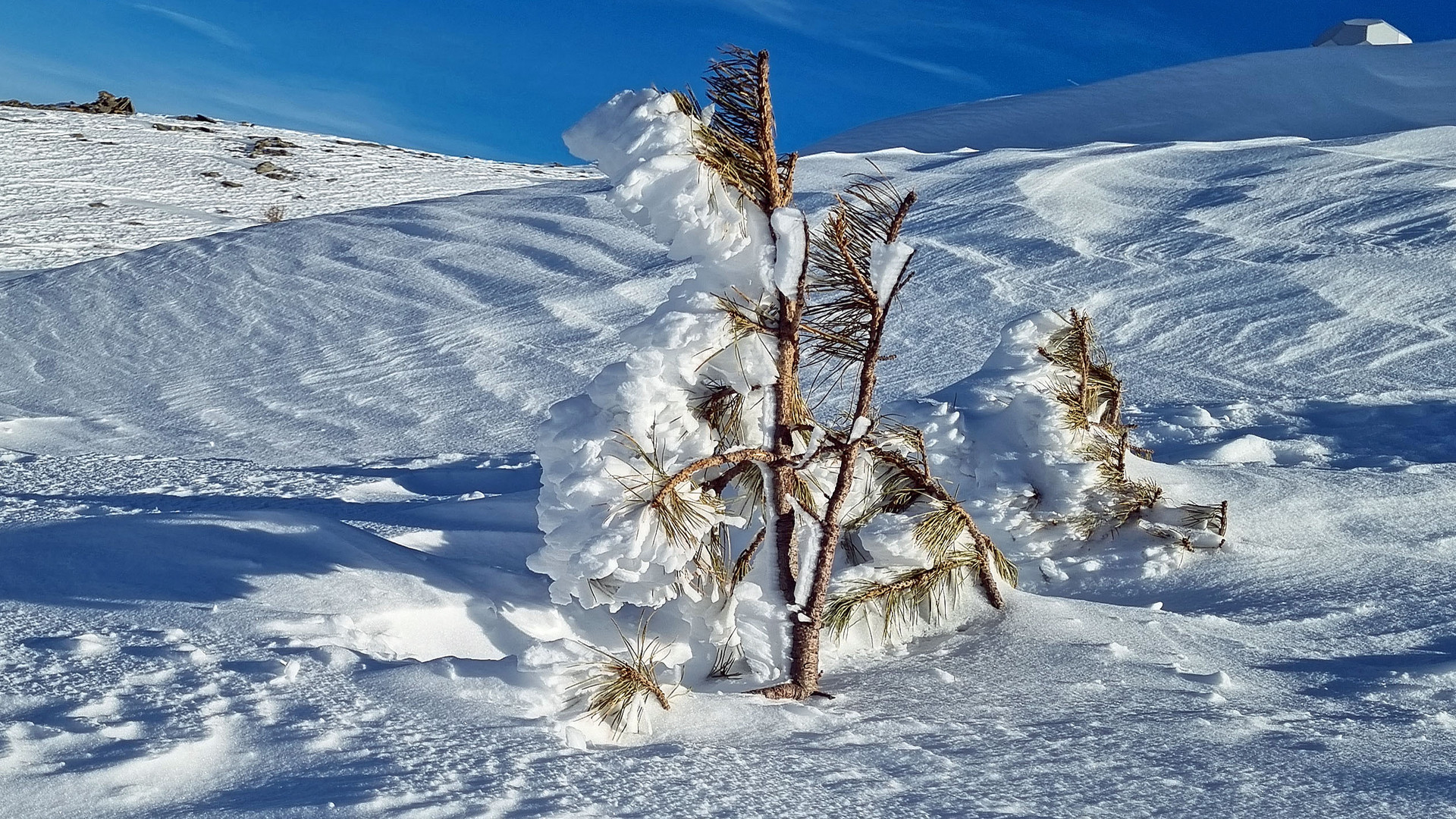 der Wind kam von rechts