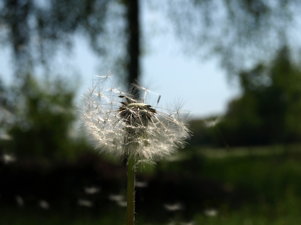 der Wind kanns richten:-)))