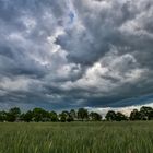 Der Wind lebte auf