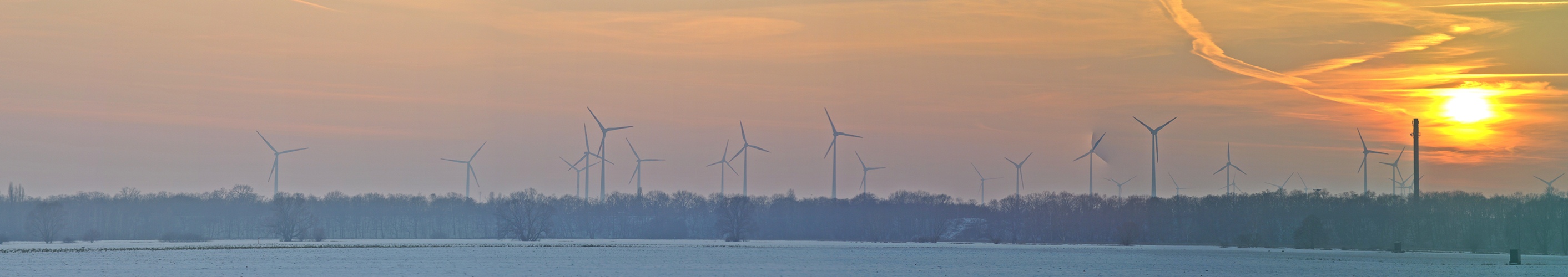 Der Wind macht`s