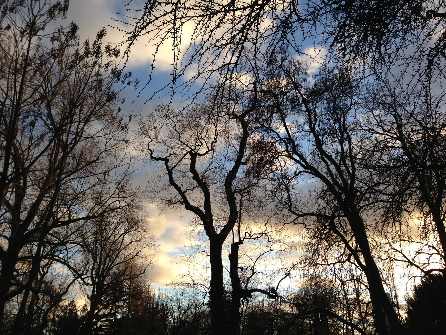 der Wind pfeifft durch den Park und reisst die Wolken auseinander