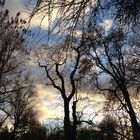 der Wind pfeifft durch den Park und reisst die Wolken auseinander