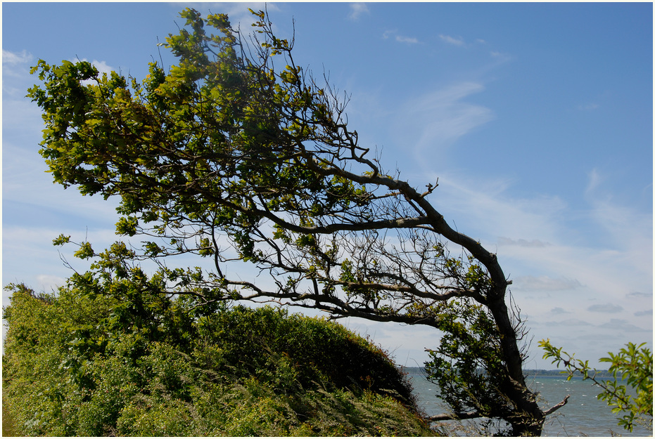 Der Wind schafft fast alles !