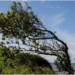 Der Wind schafft fast alles !