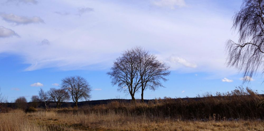 Der Wind weht von Westen