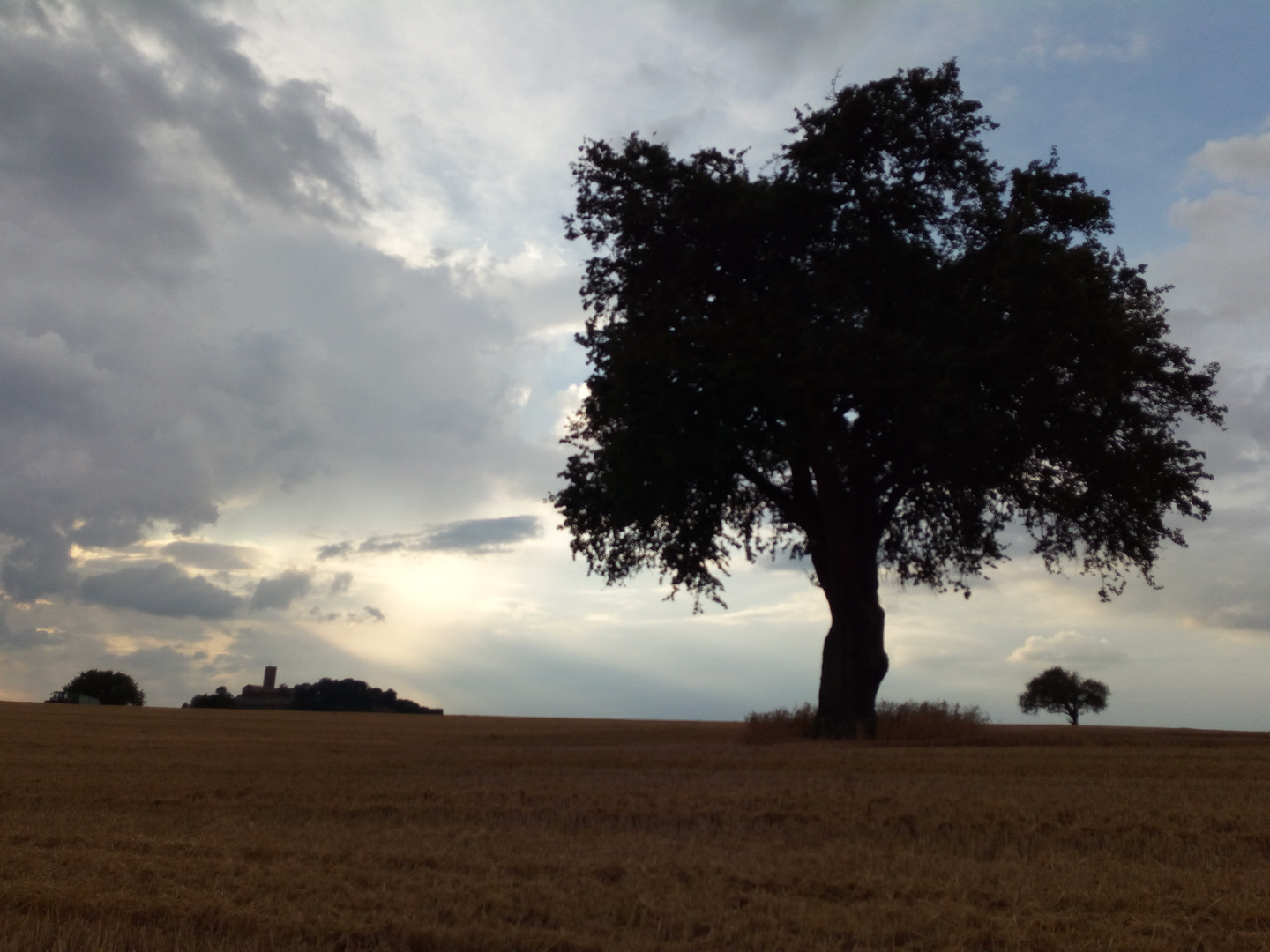 Der Wind Weht Wieder Uber Die Stoppelfelder Foto Bild Baume Wolken Baum Bilder Auf Fotocommunity