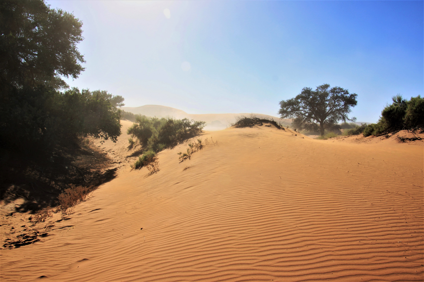 der Wind wirbelt den Sand 