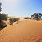 der Wind wirbelt den Sand 