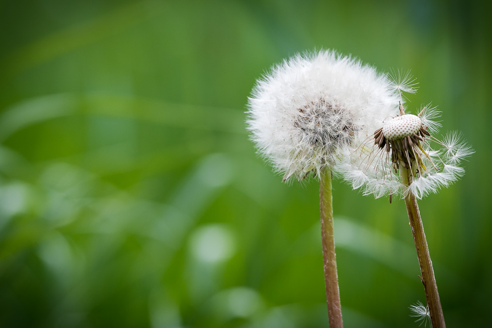 Der Wind wird den Rest erledigen...