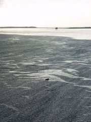 Der Wind zeichnet Muster