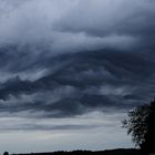 der WInd zeigt seine Fratze...