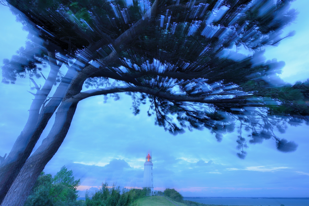 Der Windflüchter