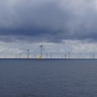 Der Windpark 