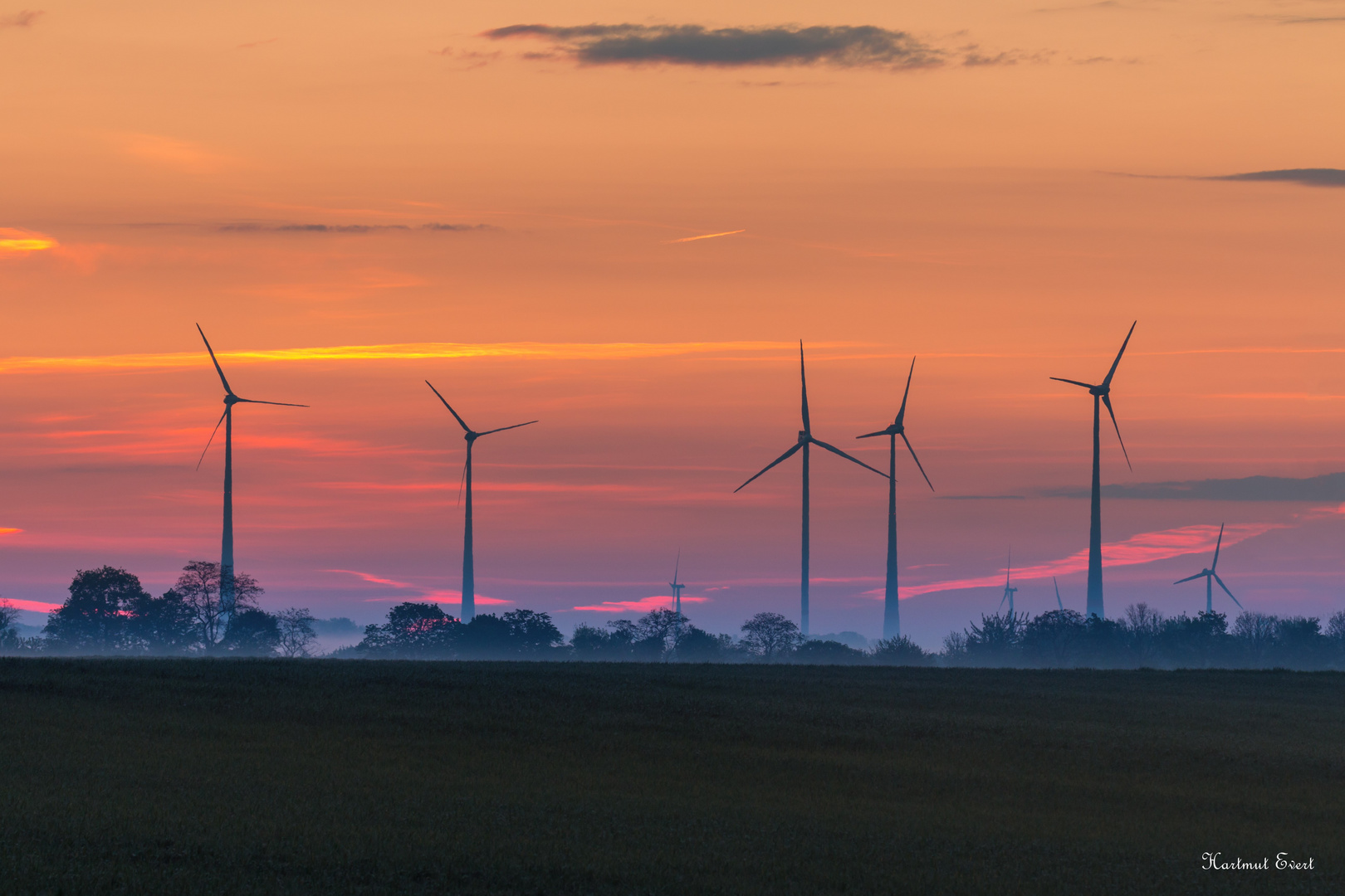 Der Windpark erwacht.