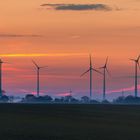 Der Windpark erwacht.