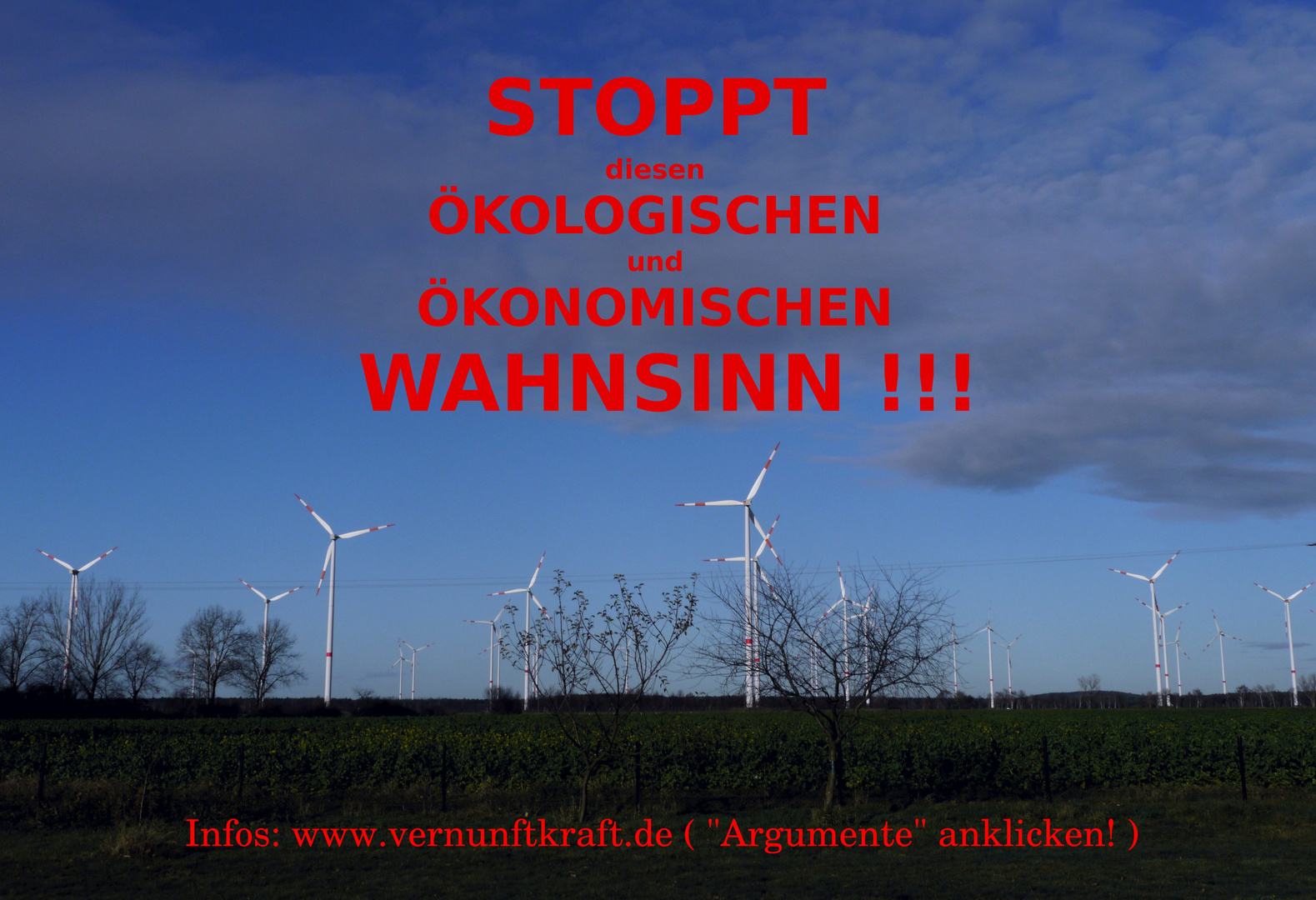 Der Windquirl - Wahnsinn