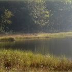 Der Windsbornkratersee im Morgenlicht