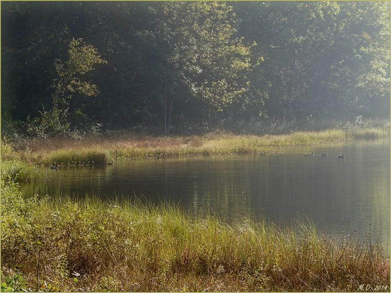 Der Windsbornkratersee im Morgenlicht