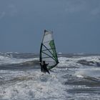 Der Windsurfer