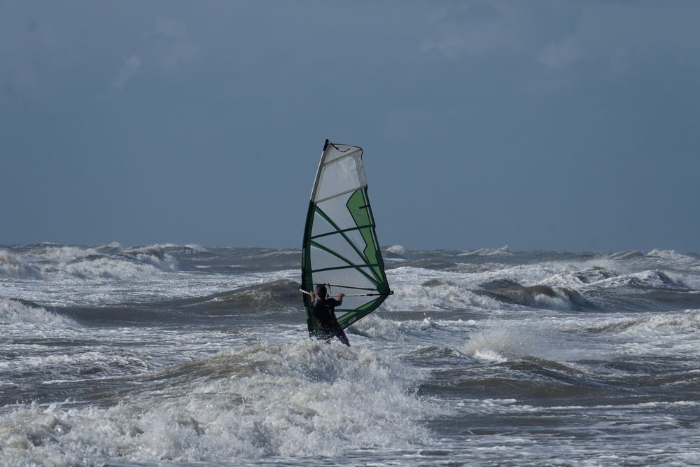 Der Windsurfer