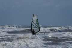 Der Windsurfer