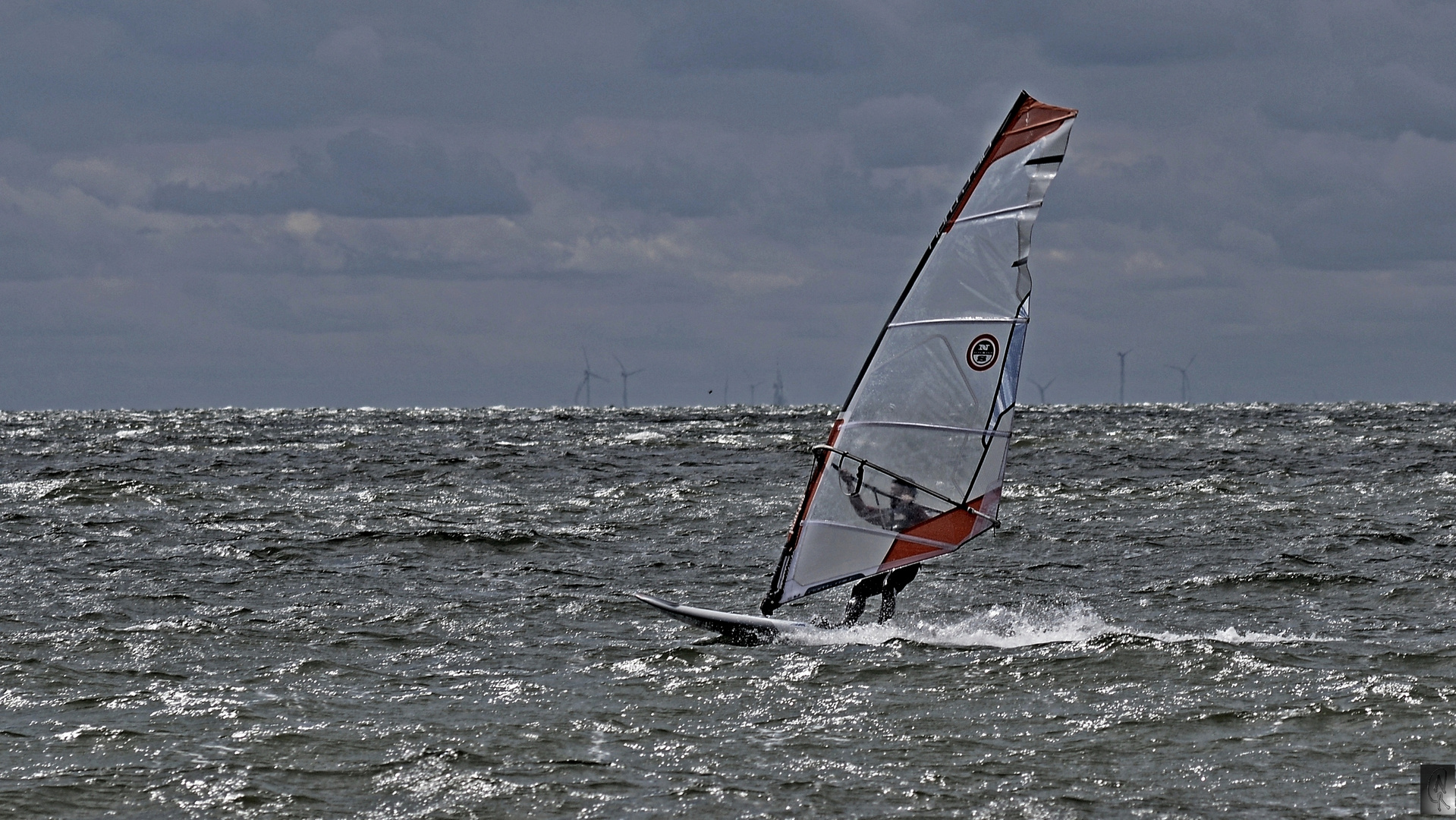 der Windsurfer