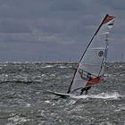 der Windsurfer