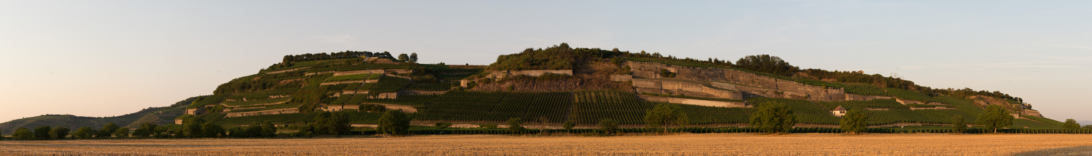 Der Winklerberg bei Ihringen