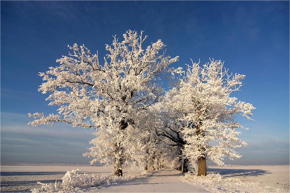 der Winter 07/08...