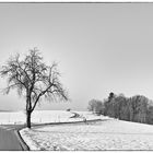 der Winter