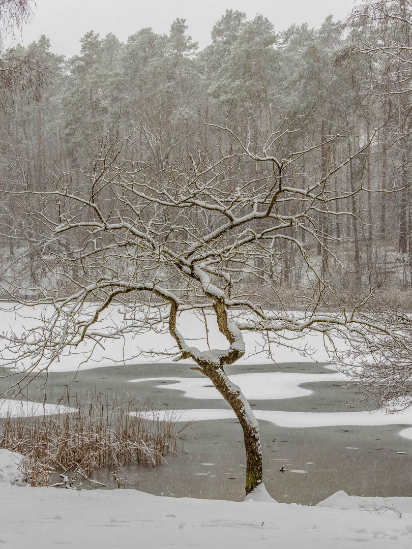 Der Winter 2020/21 in Berlin fiel dieses Jahr auf einen Sonntag