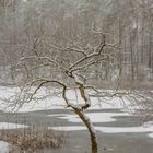 Der Winter 2020/21 in Berlin fiel dieses Jahr auf einen Sonntag