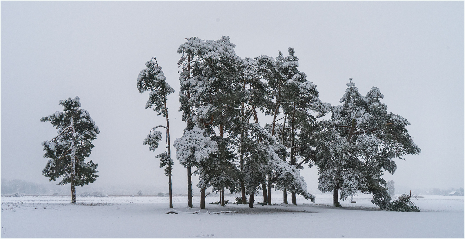 Der Winter ...