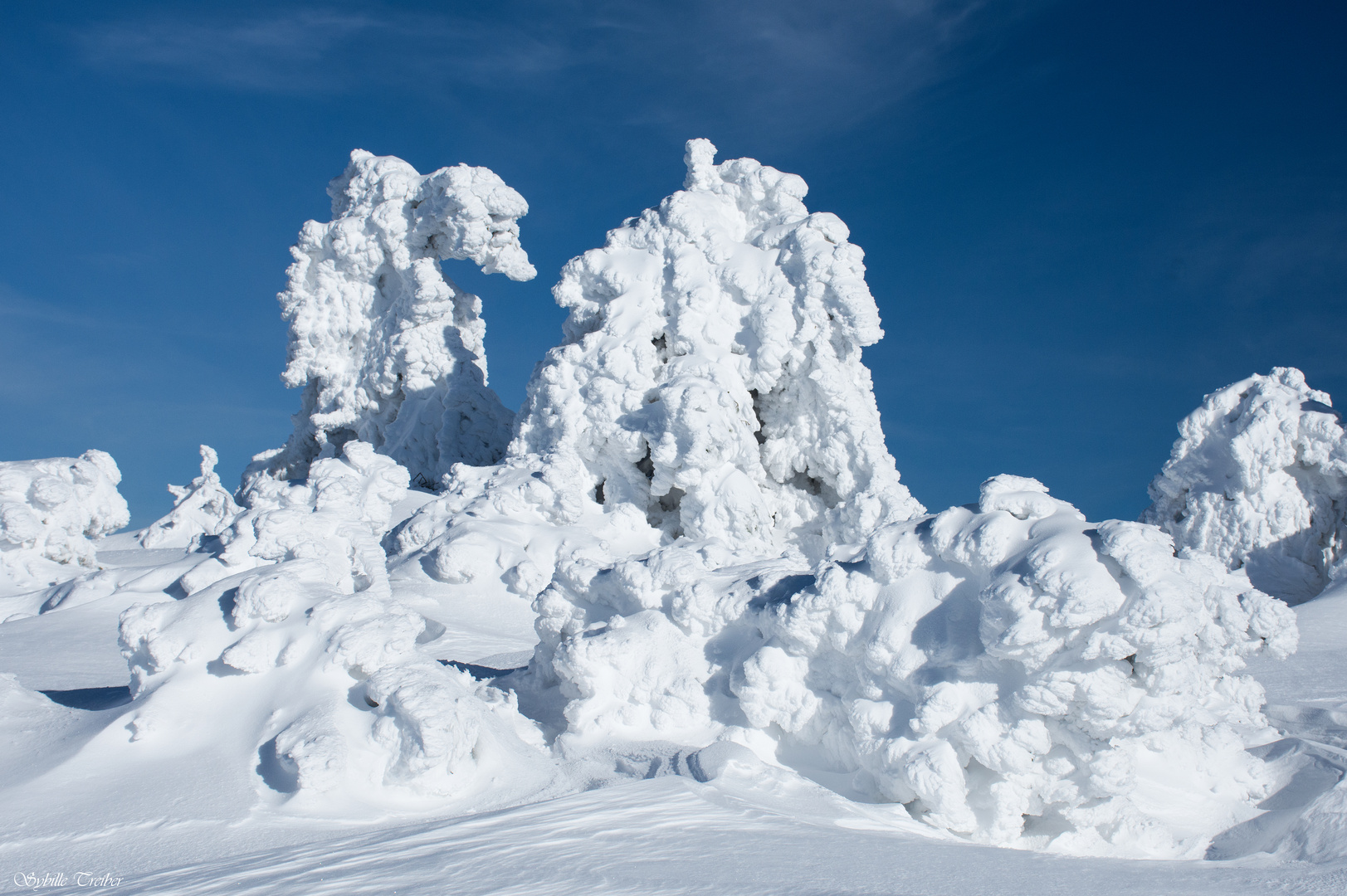 Der Winter als Bildhauer