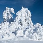 Der Winter als Bildhauer