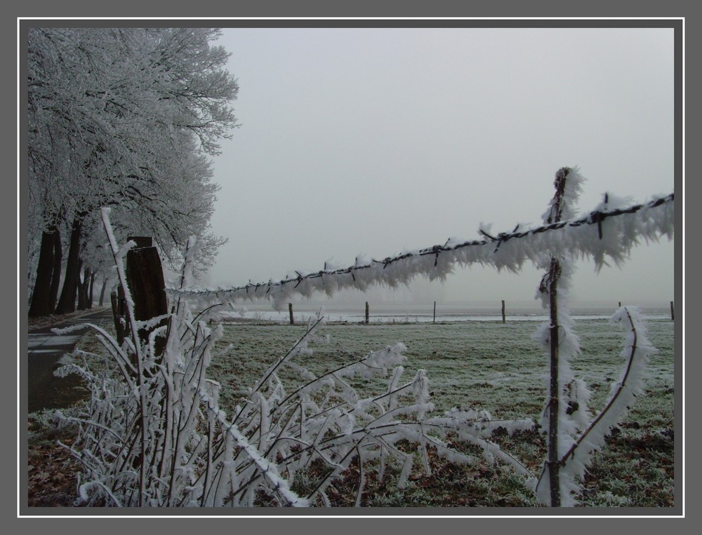 Der Winter als Konditor...