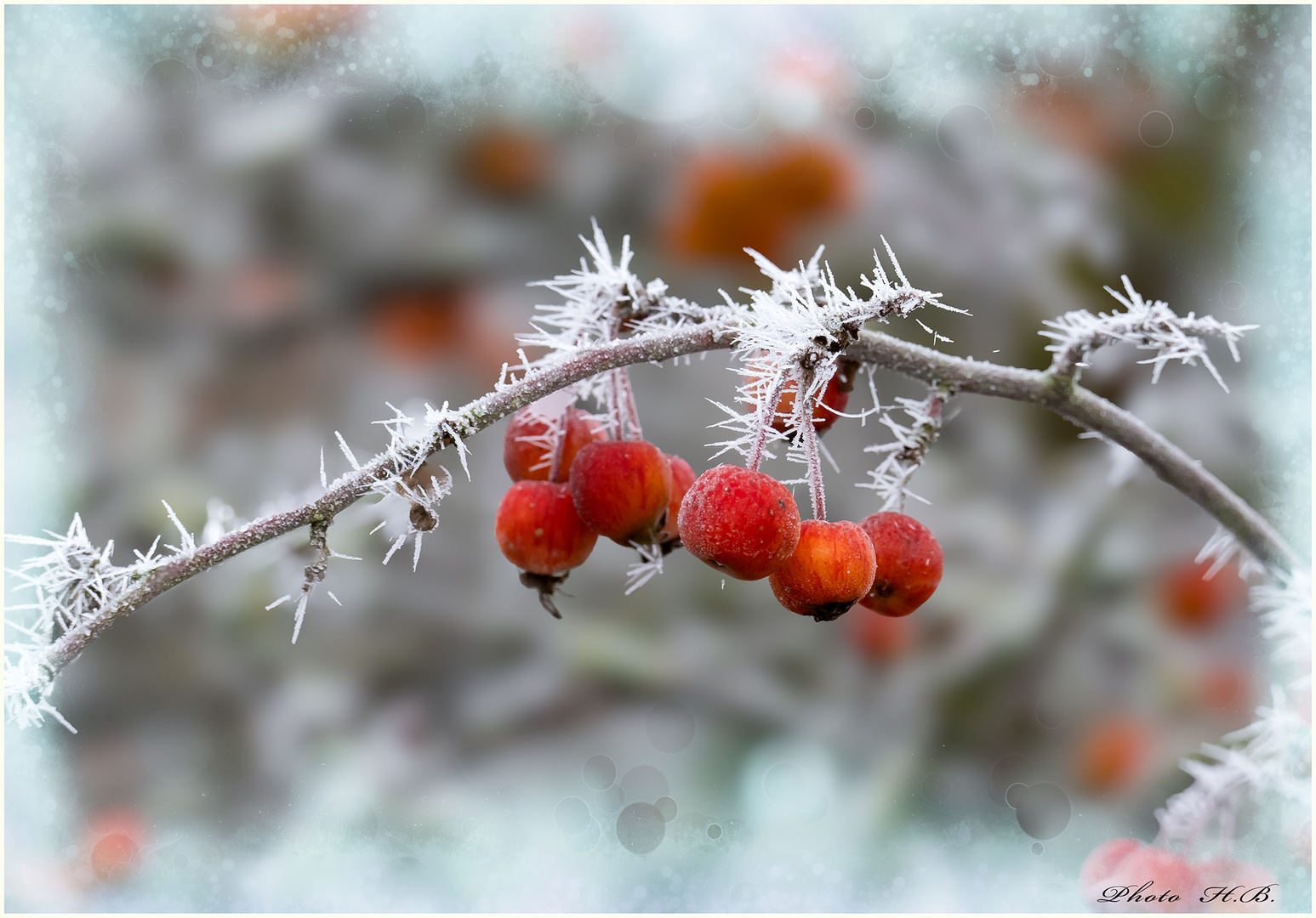 Der Winter als Künstler