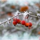 Der Winter als Künstler