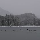 Der Winter am Hintersee