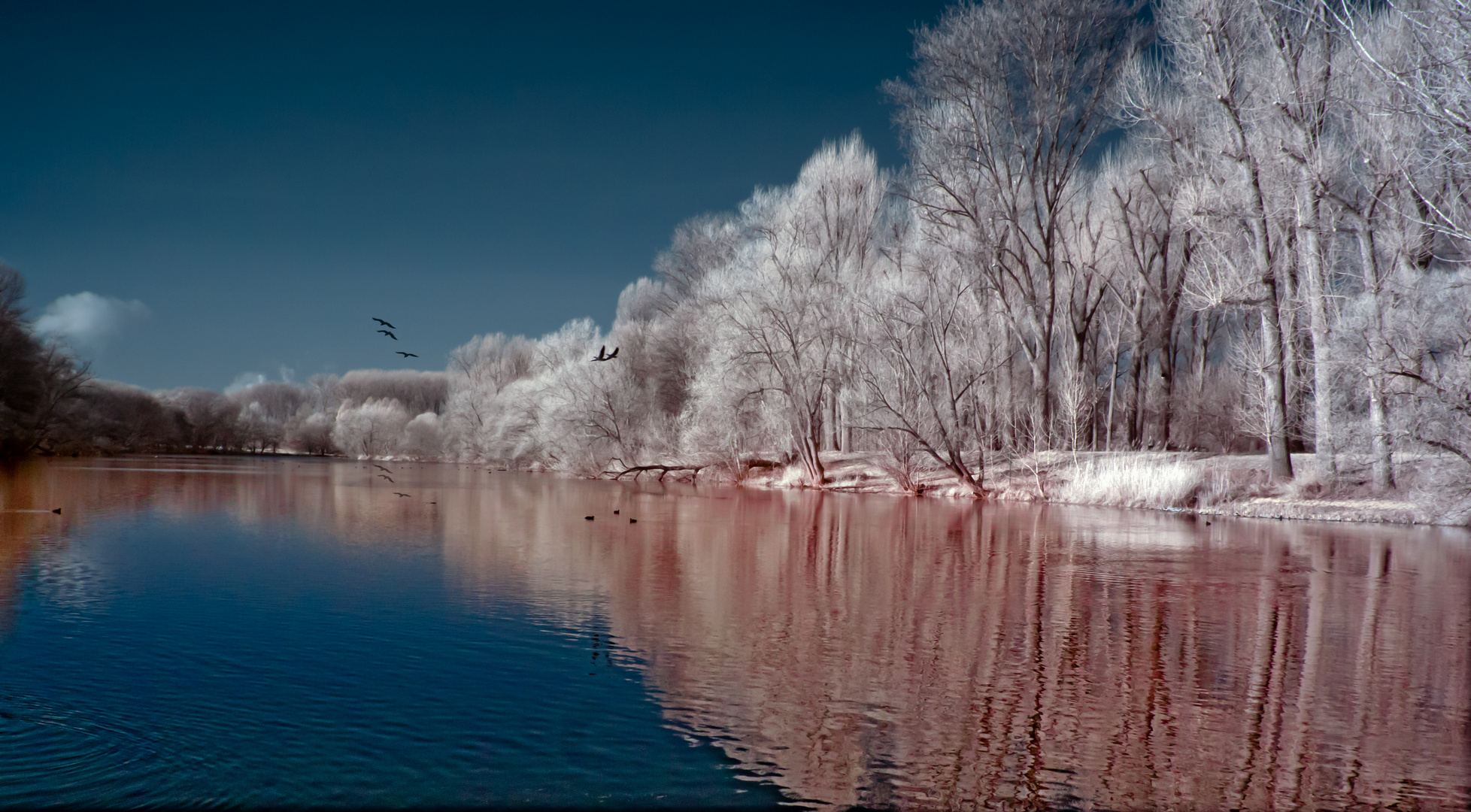 Der Winter am Teich mit 700nm Infrarotsicht