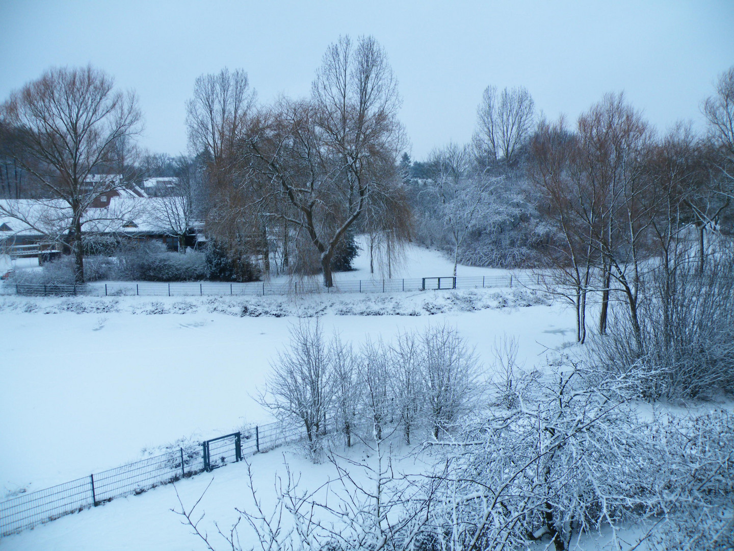 der Winter aus meinem Wohnzimmer