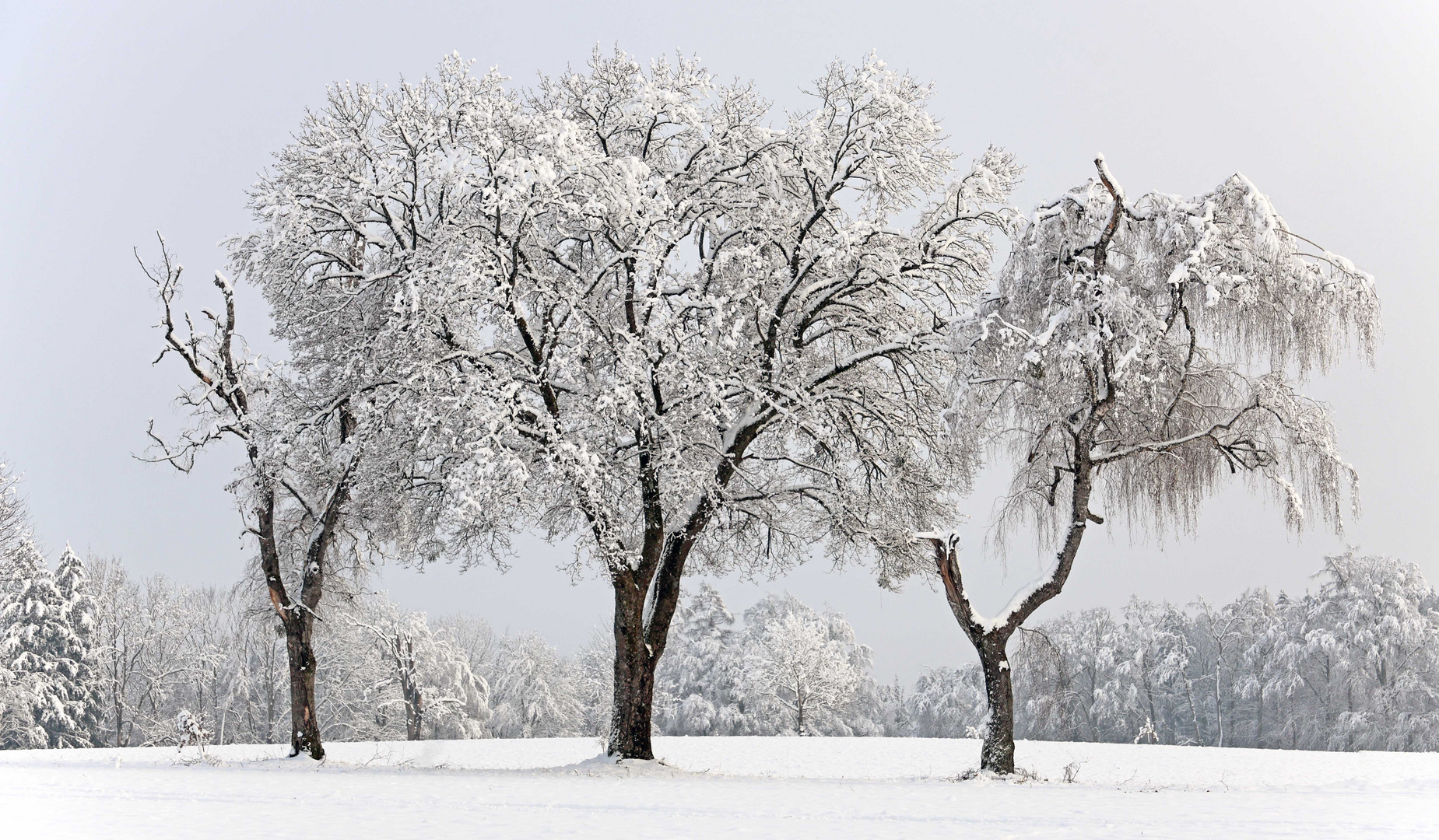 Der Winter...