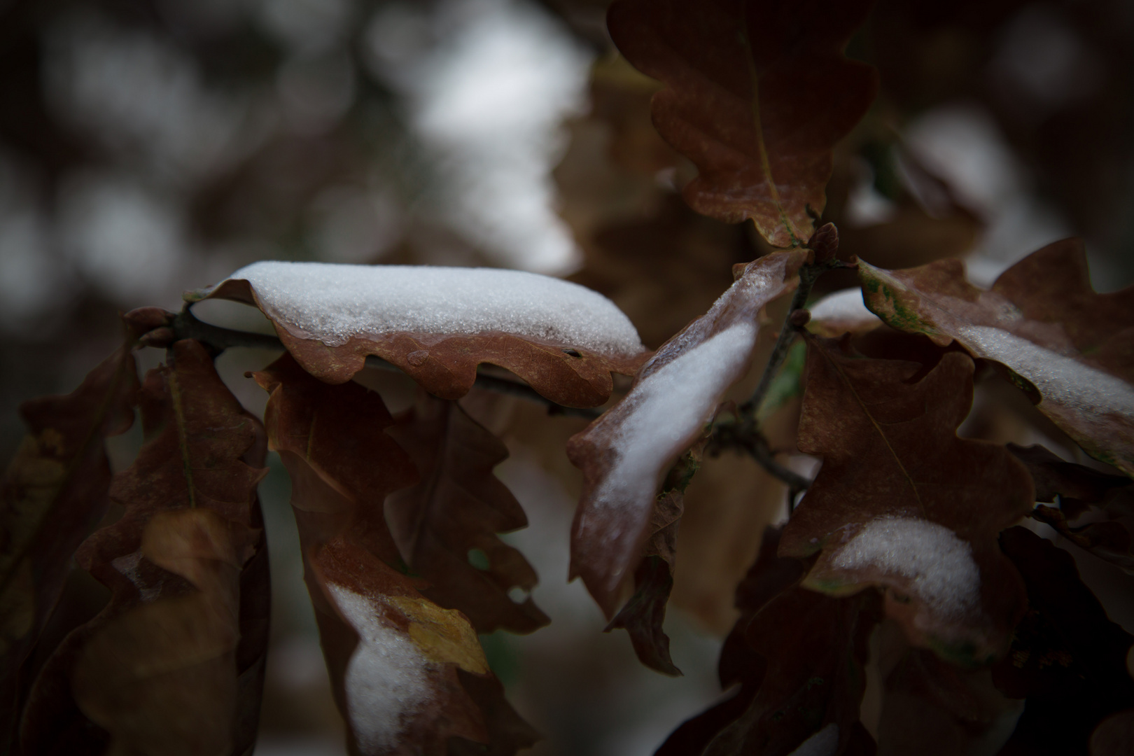 der Winter beginnt