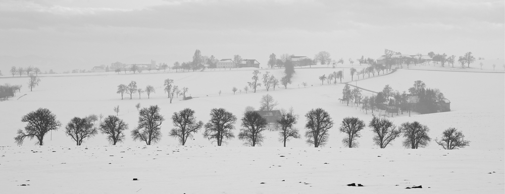 der Winter bei uns